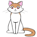 赏金女王内容专题 图片 5